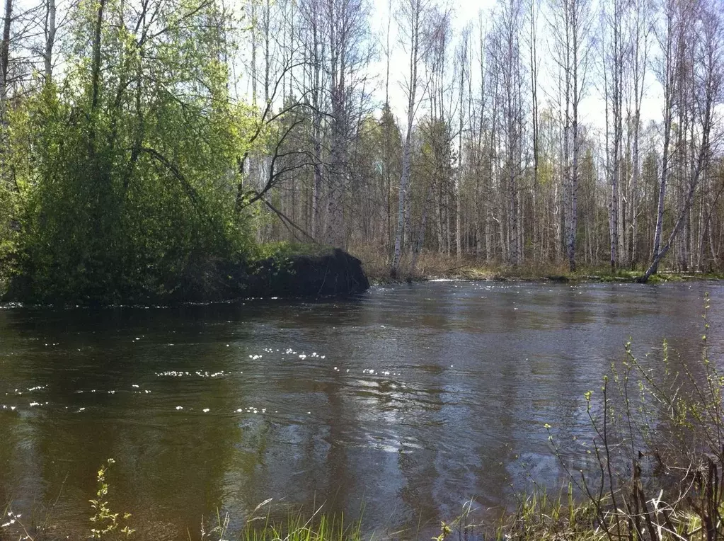 Участок в Свердловская область, Невьянский городской округ, д. ... - Фото 0