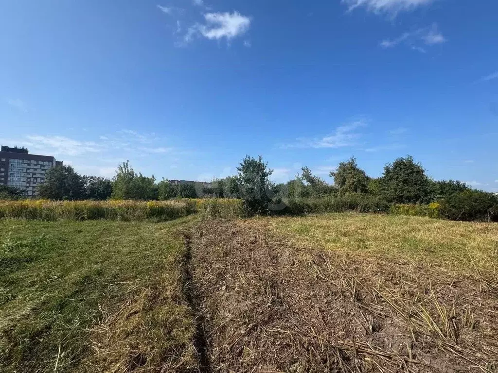Участок в Брянская область, Брянский район, Снежское с/пос, пос. ... - Фото 2