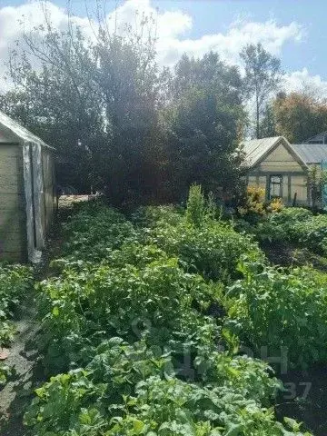 Участок в Свердловская область, Полевской ул. Жилина, 29 (8.0 сот.) - Фото 2