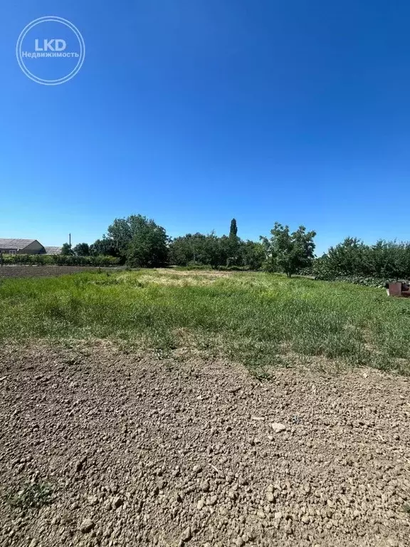 Участок в Краснодарский край, Славянский район, Петровское с/пос, ... - Фото 1