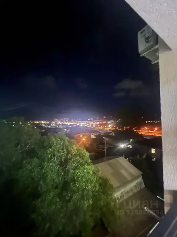 1-к кв. Краснодарский край, Сочи Адлер жилрайон, ул. Черниговская, 62 ... - Фото 1