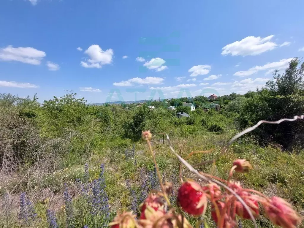 Участок в Крым, Симферопольский район, Добровское с/пос, с. Мраморное, ... - Фото 0