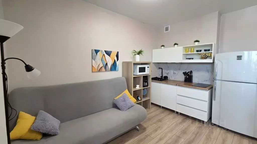 Студия Новосибирская область, Новосибирск Закаменский мкр, 16 (24.0 м) - Фото 1