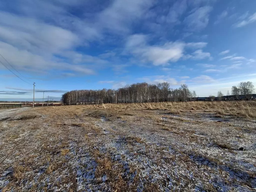 Участок в Свердловская область, Сысертский муниципальный округ, с. ... - Фото 1