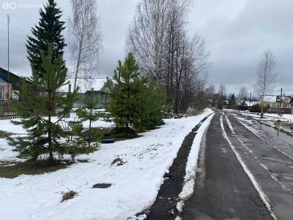Дом в Ярославская область, Некрасовский муниципальный округ, село ... - Фото 1