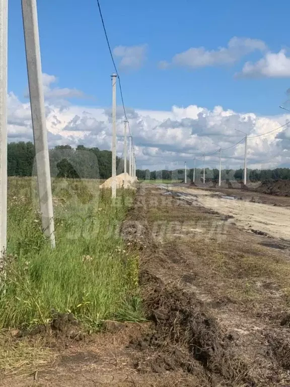 Участок в Тюменская область, Нижнетавдинский район, с. Велижаны ... - Фото 2
