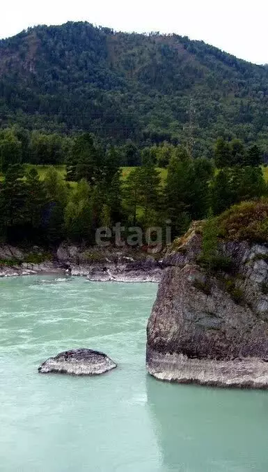 Участок в Чемальский район, село Анос (22.5 м) - Фото 1