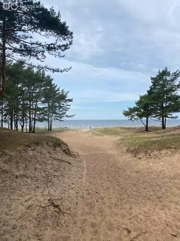 Дом в Сосновый Бор, Ручьевская улица (145 м) - Фото 2