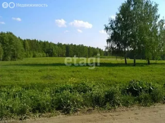 Участок в Курган, Зайково, Школьная улица (27 м) - Фото 2