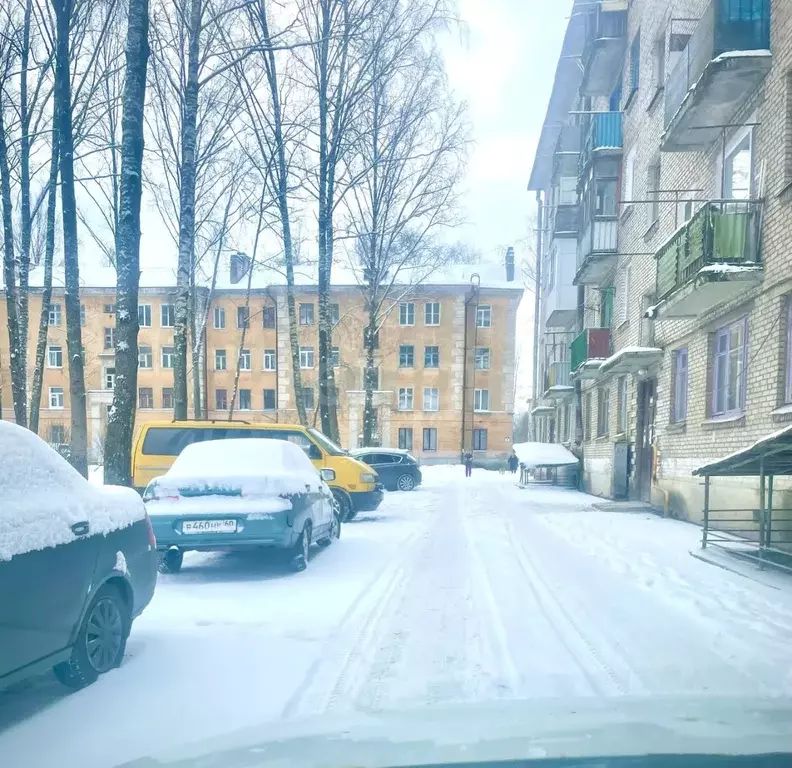 3-к кв. Псковская область, Остров ул. ДОС, 8 (82.1 м) - Фото 1