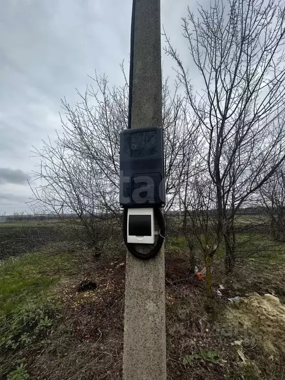 Участок в Воронежская область, Борисоглебский городской округ, с. ... - Фото 1
