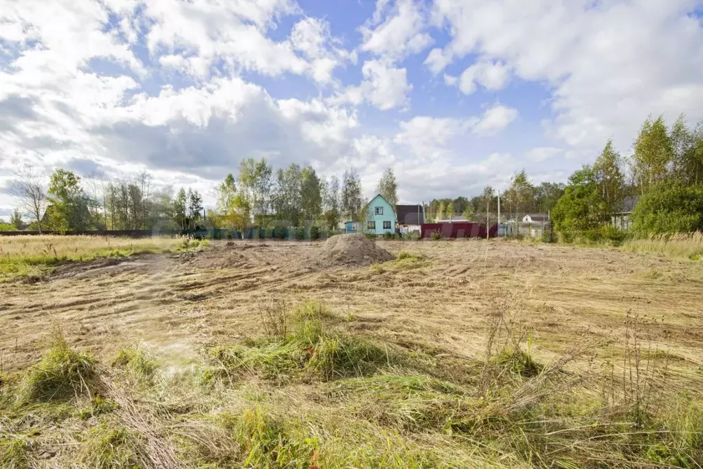 Участок в Калужская область, Боровский муниципальный округ, Совьяки ... - Фото 2