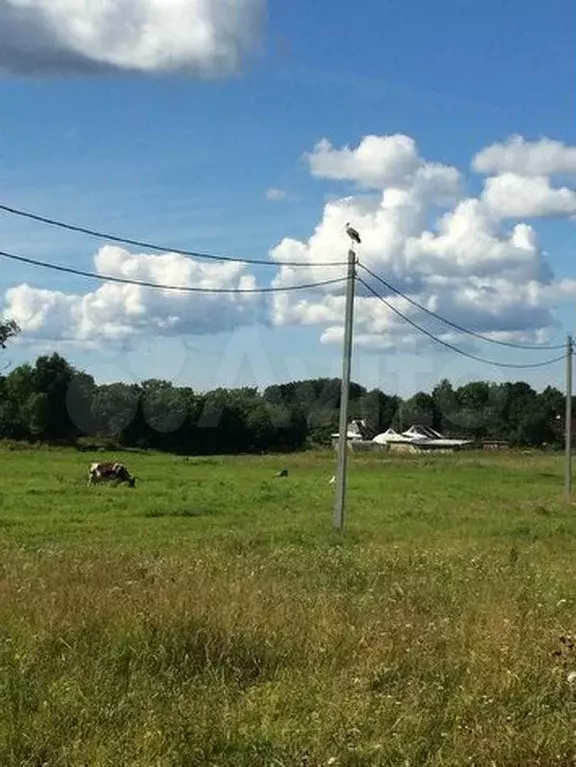 Участок 3,25 га (СНТ, ДНП) - Фото 0