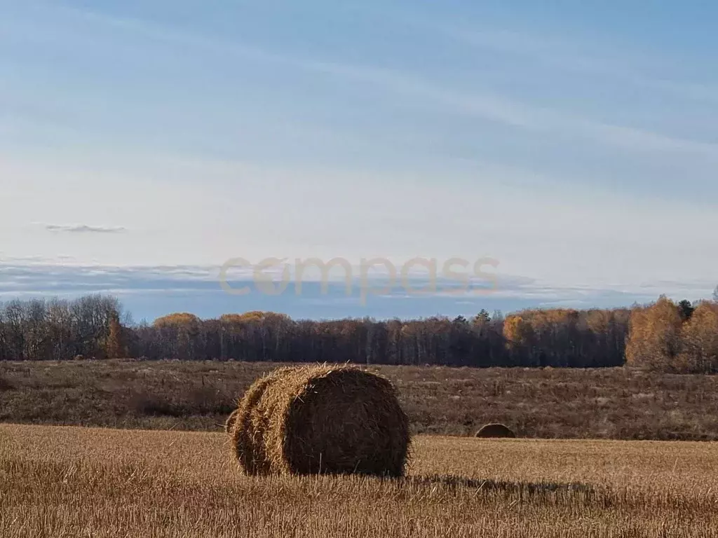 Участок в Тюменская область, Тюменский район, д. Большие Акияры  (8.8 ... - Фото 1