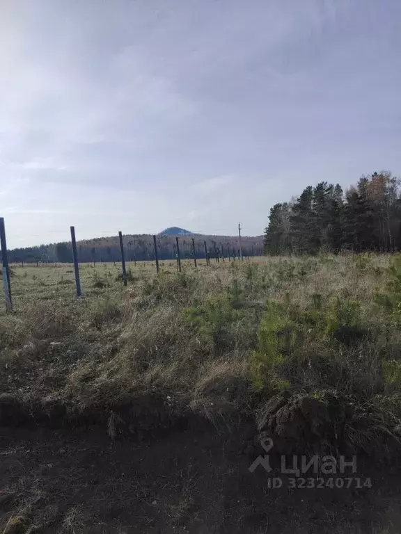 Участок в Красноярский край, Сосновоборский муниципальный округ, д. ... - Фото 1