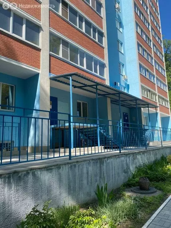 Помещение свободного назначения (244.9 м) - Фото 1