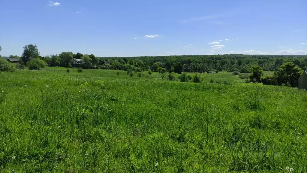 Участок в Калужская область, Тарусский муниципальный округ, Барятино ... - Фото 1