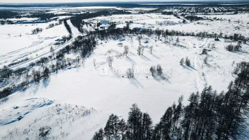 Участок в Сахалинская область, Анивский городской округ, с. Мицулевка ... - Фото 1
