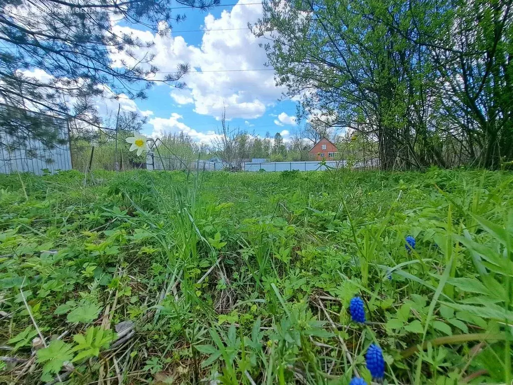 Дом в Московская область, городской округ Щёлково, садоводческое ... - Фото 1