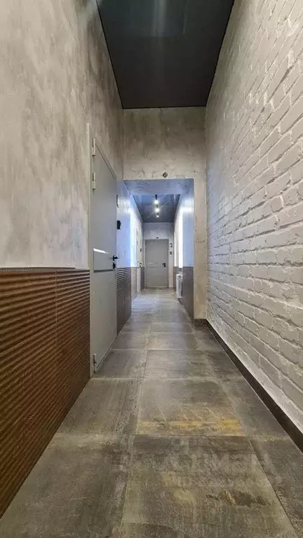 1-к кв. Татарстан, Казань ул. Карла Маркса, 47Б (20.0 м) - Фото 2