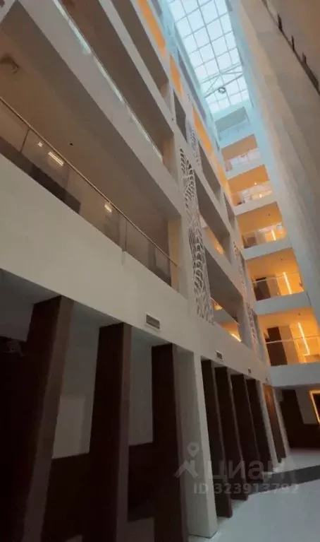 Студия Краснодарский край, Сочи ул. Яна Фабрициуса, 33 (26.3 м) - Фото 1