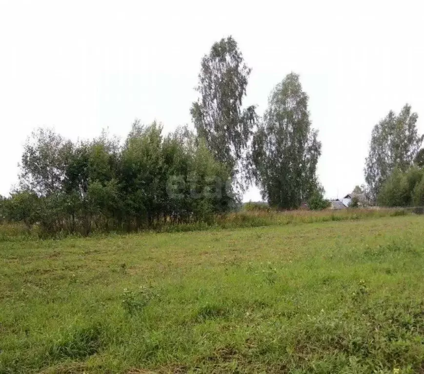 Участок в Ярославская область, Рыбинский муниципальный округ, д. ... - Фото 2