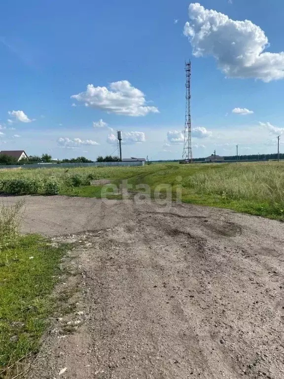 Участок в Тамбовская область, Тамбовский муниципальный округ, с. ... - Фото 0