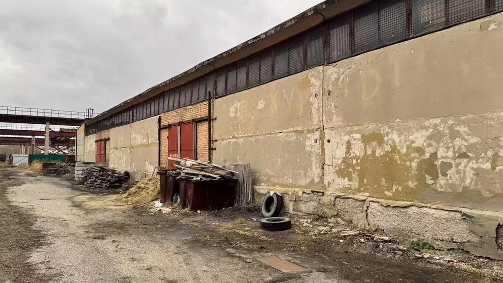 Склад в Пензенская область, Пенза ул. Байдукова, 94 (1448 м) - Фото 2