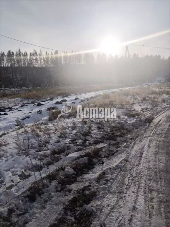 Участок в Забайкальский край, Чита ул. Жасминовая, 4 (845.0 сот.) - Фото 1