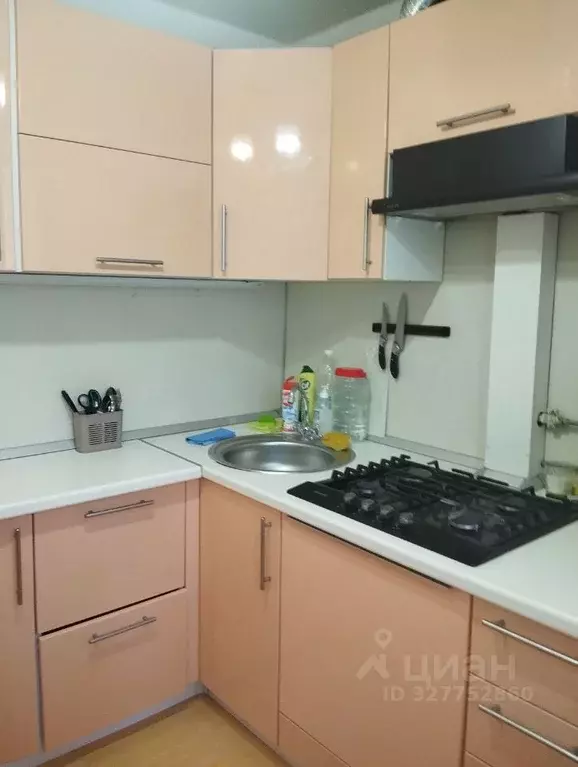 1-к кв. Липецкая область, Липецк ул. Космонавтов, 58 (30.5 м) - Фото 2