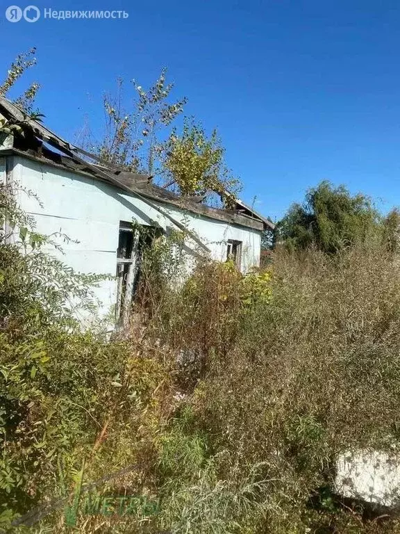 Дом в Артём, улица Менжинского, 7 (57.7 м) - Фото 1