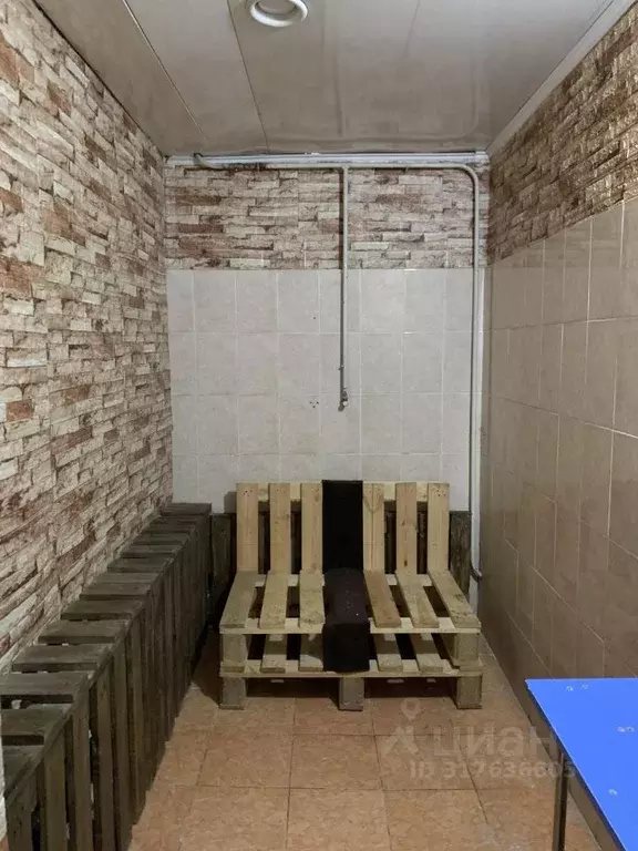Помещение свободного назначения в Новосибирская область, Новосибирск ... - Фото 1