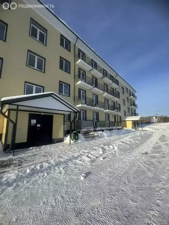 1-комнатная квартира: село Падун, Революционная улица, 102 (33.1 м) - Фото 1