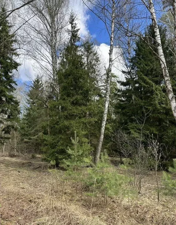 Участок в Московская область, Ступино городской округ, с. Ивановское ... - Фото 2