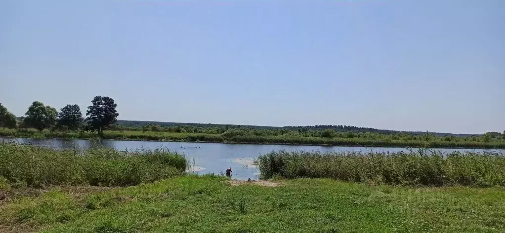 Дом в Тамбовская область, Сосновский муниципальный округ, с. ... - Фото 1