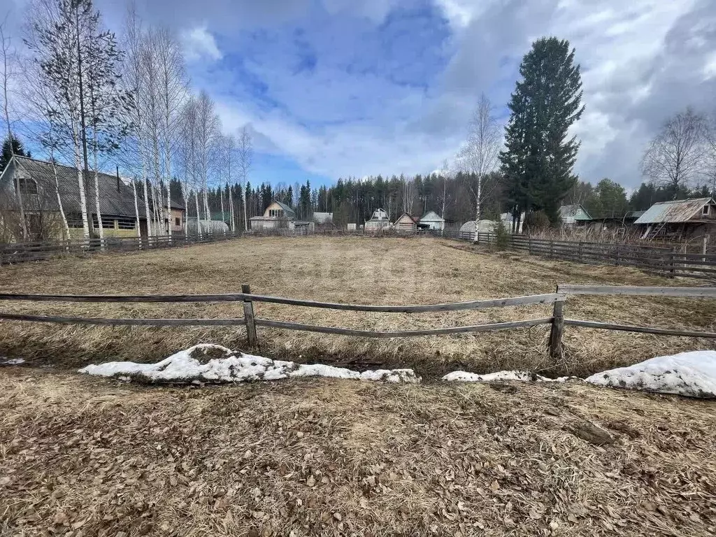 Участок в Коми, Сыктывдинский район, Выльгорт муниципальное ... - Фото 2