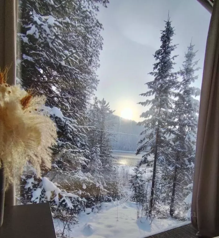 Дом в Алтай, Турочакский район, с. Артыбаш  (32 м) - Фото 1