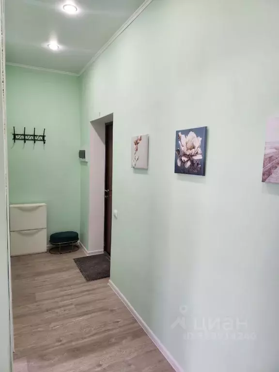 1-к кв. Московская область, Истра муниципальный округ, с. Павловская ... - Фото 2