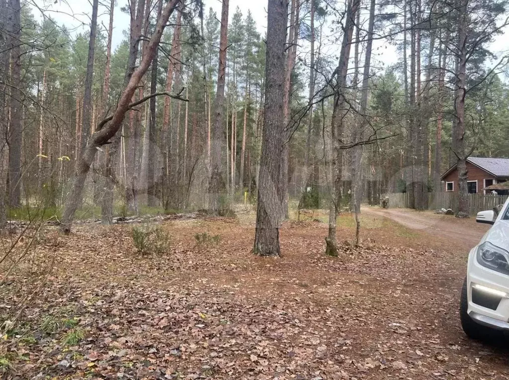Участок 5,1 сот. (ИЖС) - Фото 1