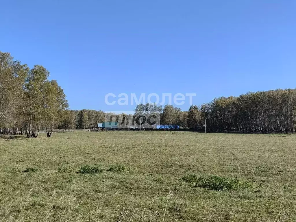 Участок в Челябинская область, Аргаяшский муниципальный округ, ... - Фото 1