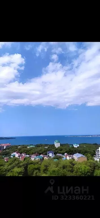 1-к кв. Краснодарский край, Геленджик Горная ул., 15С (38.6 м) - Фото 2