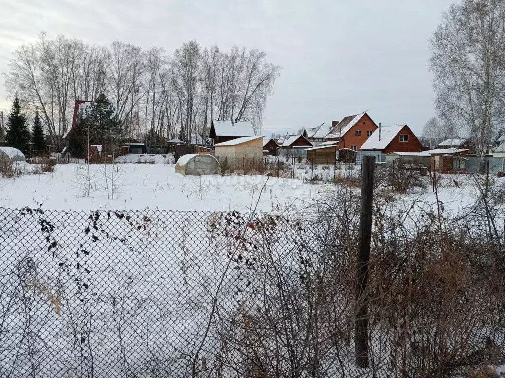 Участок в Новосибирская область, Новосибирский район, Морской ... - Фото 1