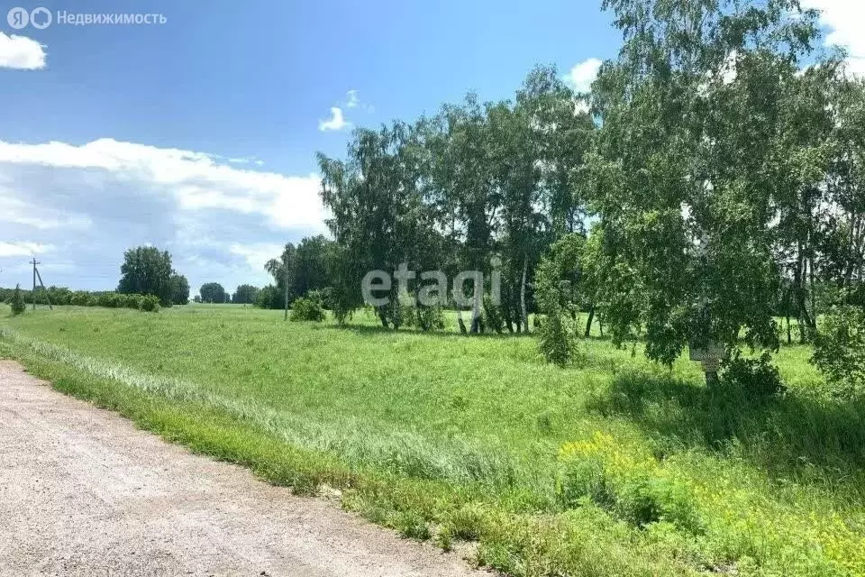 Участок в Новосибирский район, Берёзовский сельсовет, СНТ Аист (8.5 м) - Фото 0