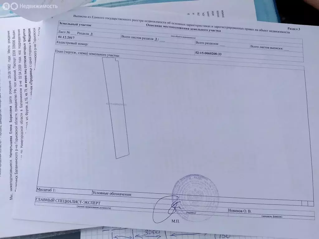 Участок в Нижегородская область, Городецкий муниципальный округ, ... - Фото 1