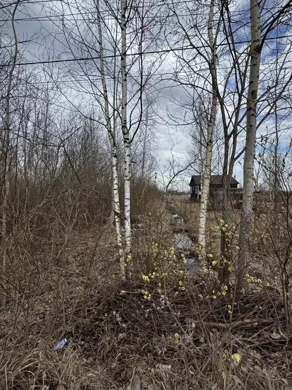 Участок в Ленинградская область, Тосненский район, Красный Бор ... - Фото 1