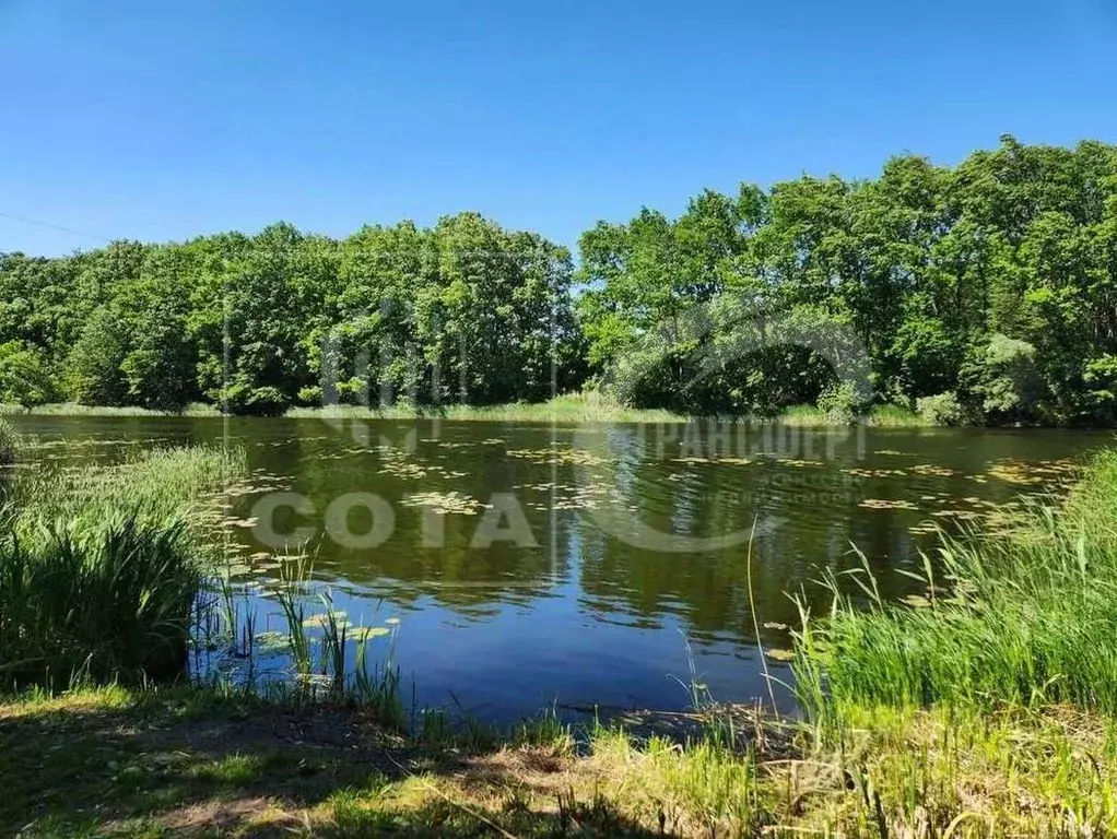 Участок в Воронежская область, Новоусманский район, Усманское 1-е ... - Фото 2