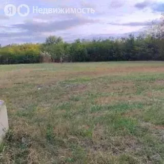 Участок в Тихорецк, Луговая улица (10 м) - Фото 1