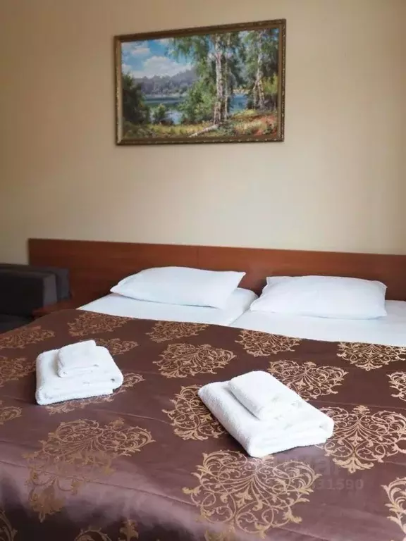 Комната Краснодарский край, Сириус пгт ул. Станиславского, 37 (26.0 м) - Фото 0