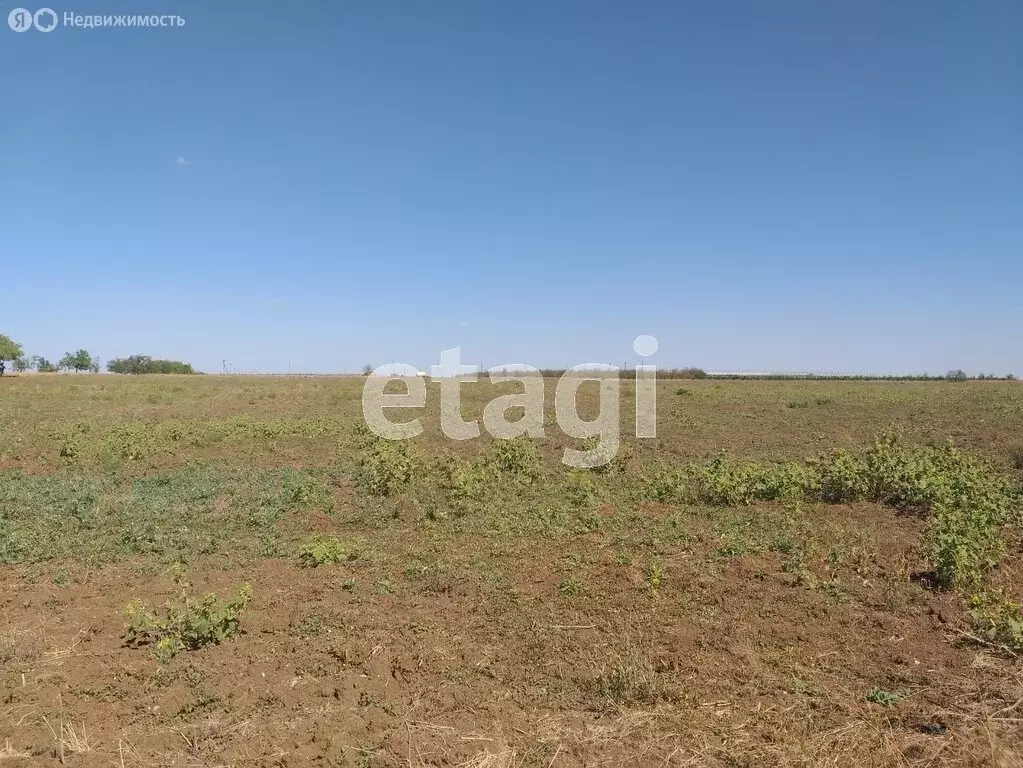 Участок в Сакский район, село Крайнее (200 м) - Фото 0