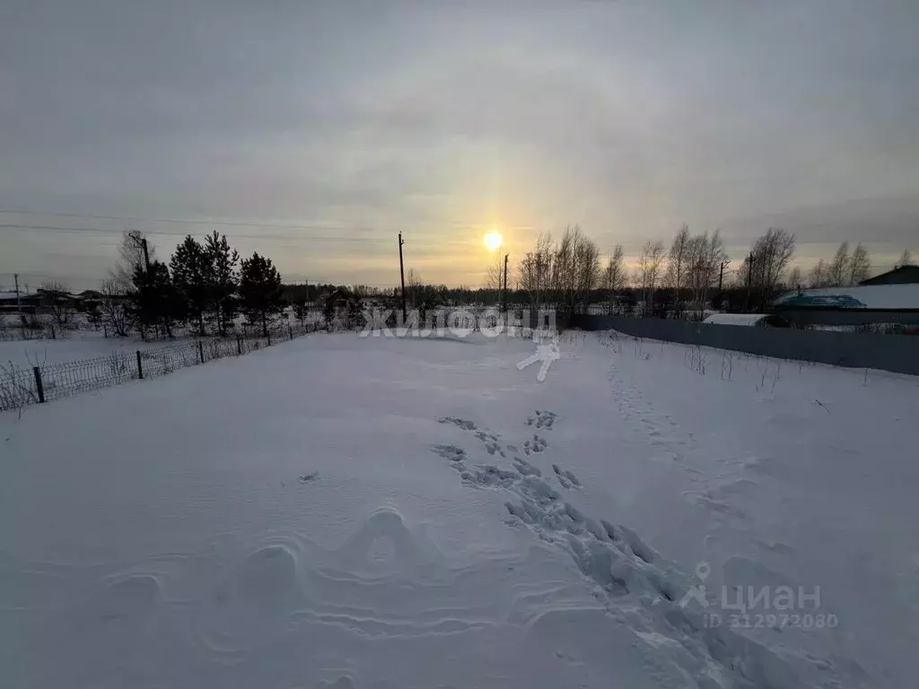 Участок в Новосибирская область, Новосибирск Пашино мкр, ул. ... - Фото 0